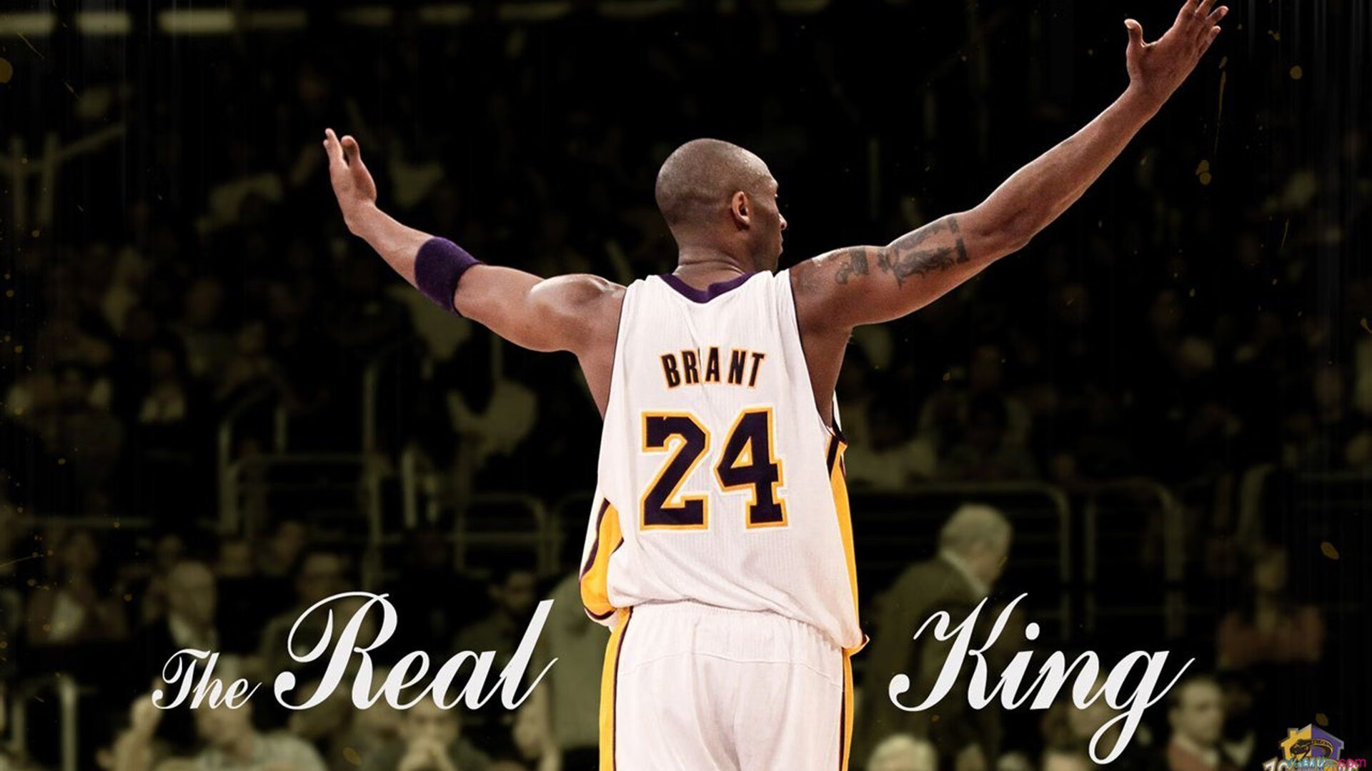 九游(jiuyou)官方网站-_健身挑战赛：一站式解决运动难题_，健身挑战图片